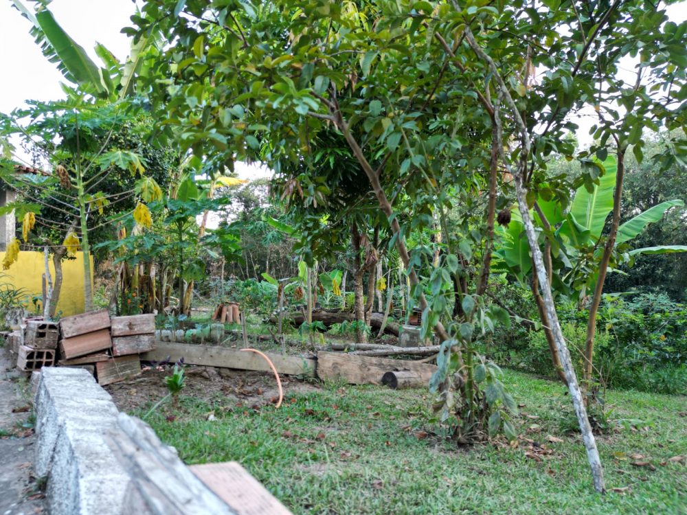 0d7961b4-f794-49df-b287-86c5d5e6cb26