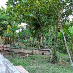 0d7961b4-f794-49df-b287-86c5d5e6cb26