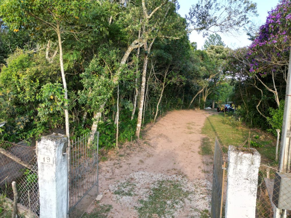 117fed5f-84ba-4f26-b3cd-6826310abeb2