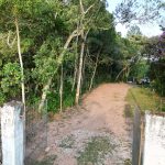 117fed5f-84ba-4f26-b3cd-6826310abeb2