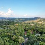 22fb740a-b057-4b4b-b8b1-b3b77a43b15d