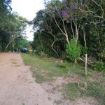 3e3ffb18-2ebd-4f1b-9654-e013427f30d7