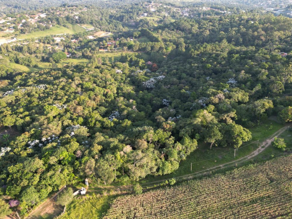 604a0d73-d1e5-4be5-b4bf-e791525f3894