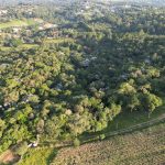 604a0d73-d1e5-4be5-b4bf-e791525f3894