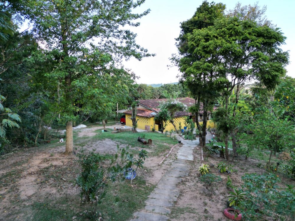 71306688-25bc-46f4-a1c3-19f87d50a5d3