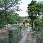 71306688-25bc-46f4-a1c3-19f87d50a5d3