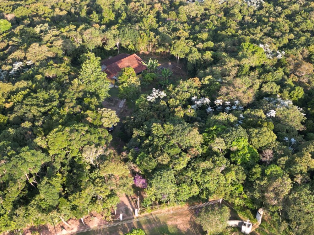 99974ed2-d9b9-4dfa-b0a5-f9196e67c593