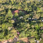 99974ed2-d9b9-4dfa-b0a5-f9196e67c593