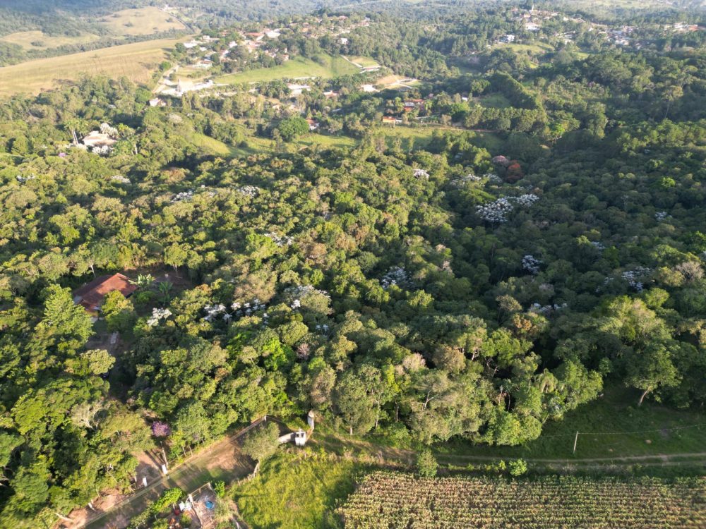 b0c96105-d1ff-48a6-800c-3904d62f85ba