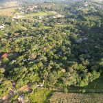 b0c96105-d1ff-48a6-800c-3904d62f85ba