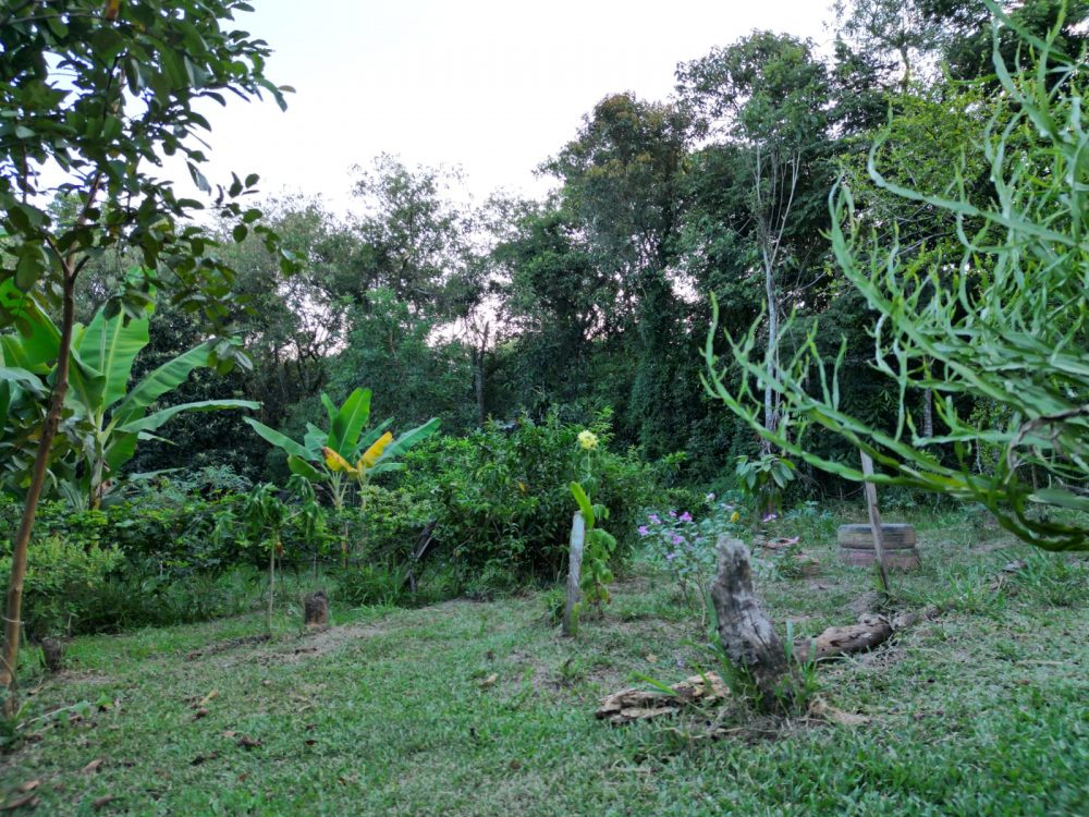 bbfd00b3-5cb5-4d3a-8dc0-17c78322f775