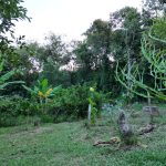 bbfd00b3-5cb5-4d3a-8dc0-17c78322f775