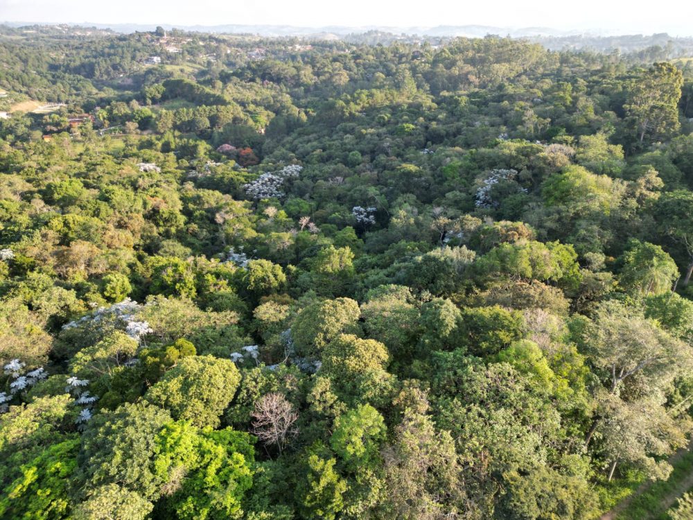 d191b996-5f6b-41f6-8450-02af05cffcc1