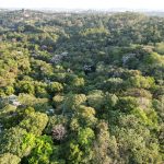 d191b996-5f6b-41f6-8450-02af05cffcc1