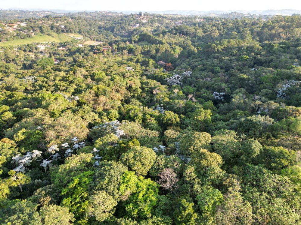 dc20f922-8632-4c81-9a2a-d95d32c245be