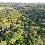 dc20f922-8632-4c81-9a2a-d95d32c245be