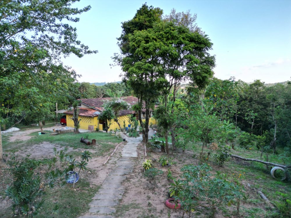 e2ef3259-4d77-47ee-8a07-519337e8c789