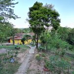 e2ef3259-4d77-47ee-8a07-519337e8c789