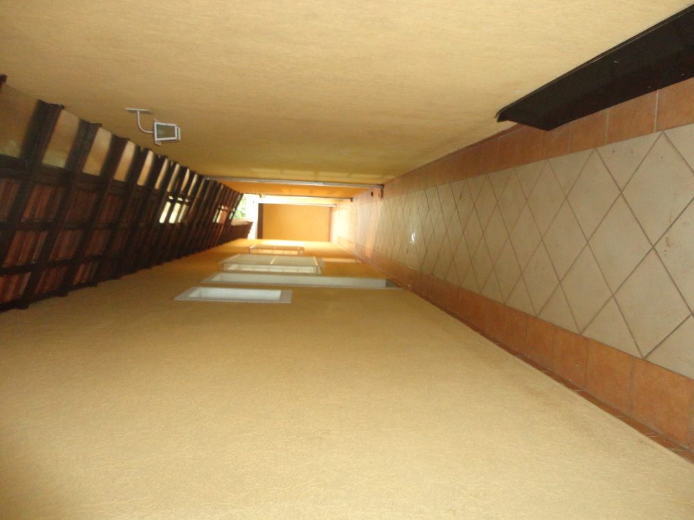 DSC09135