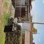 2823a502-c83e-4c2c-a5bd-cf5172718f14