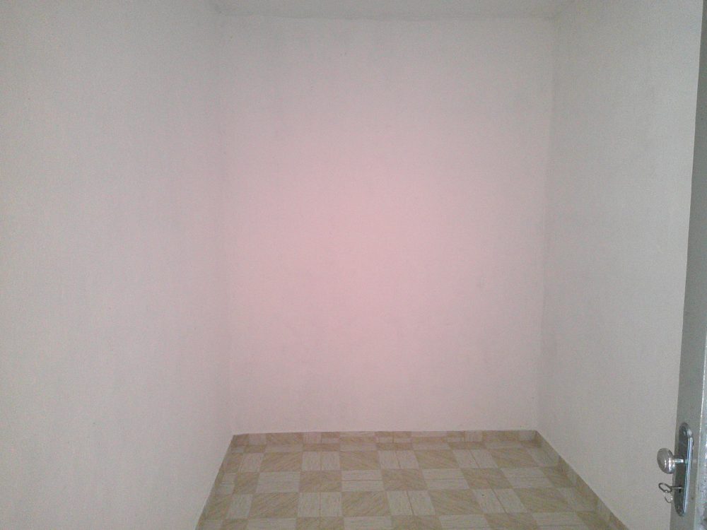Digital Camera