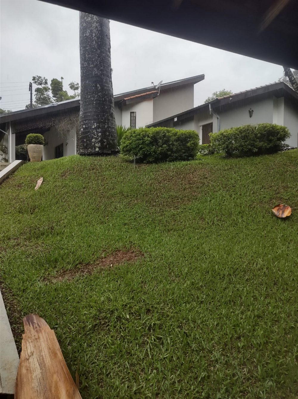 15b5cd0d-11fe-44eb-b5e0-28060a54eb3b