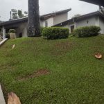 15b5cd0d-11fe-44eb-b5e0-28060a54eb3b