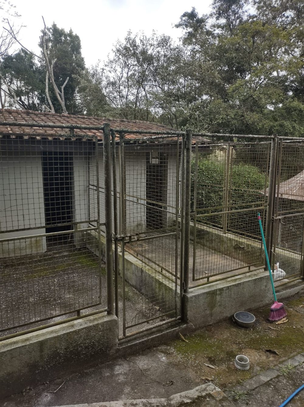 2a12c531-5f0f-4ec5-baba-8091e32cd106