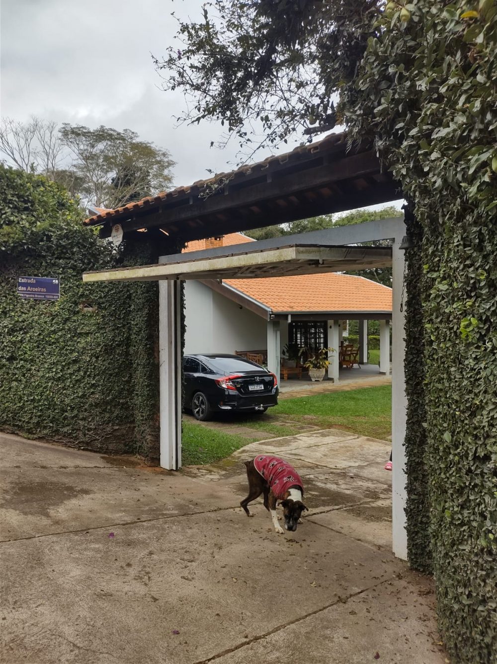 b8e6e051-3001-4cc1-9ee8-77cca8e5410c