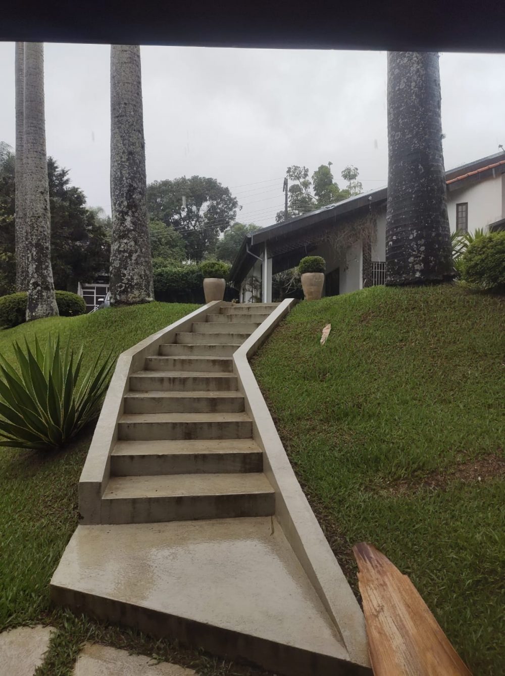 ee708481-36d8-489a-b4c2-fcd1256c679e