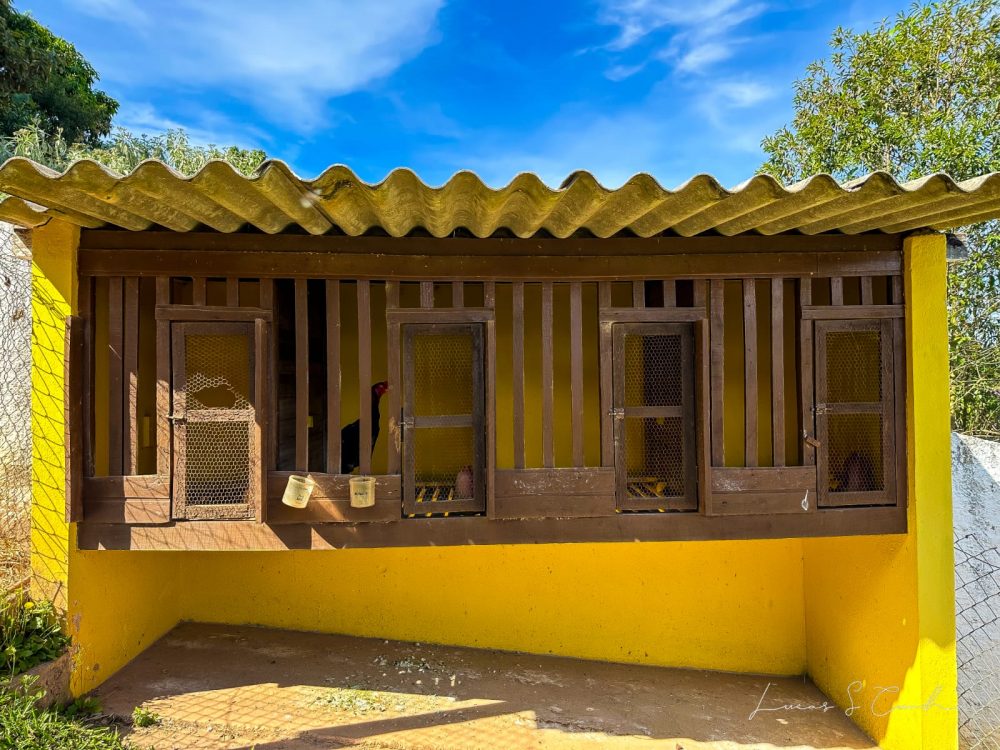 1906d8ef-9136-4273-a25e-f1281e4b490e