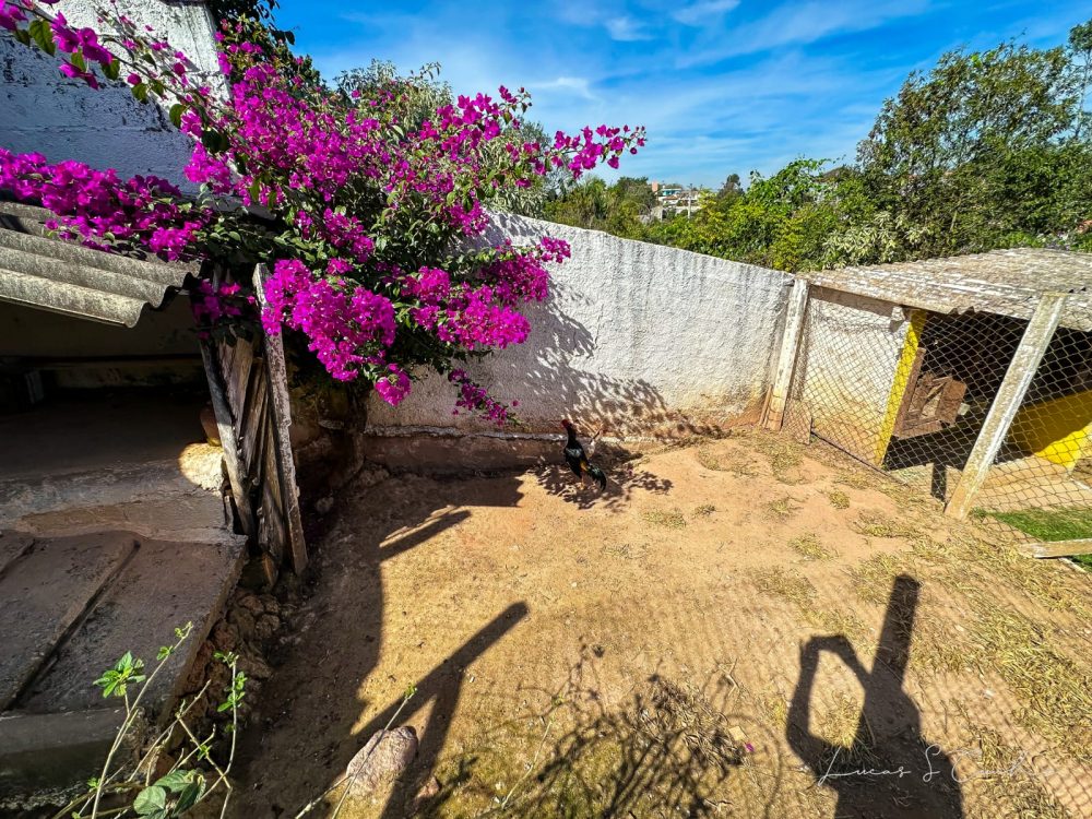 8ff7b319-85d5-4840-b520-f79c6071abe7