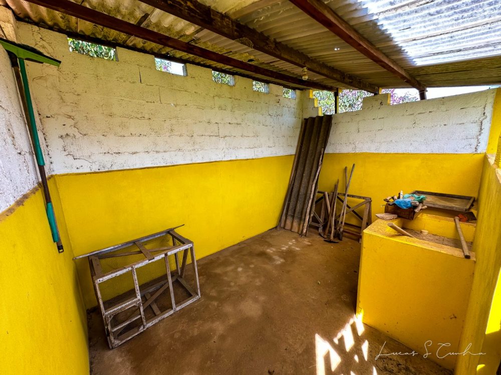 a917946e-292b-415e-a071-c2c886720fd4