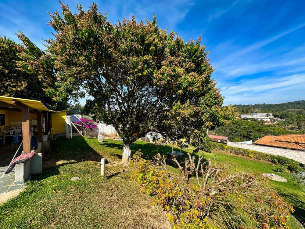 d197c7af-f5e0-4d17-8d52-cff690355d96