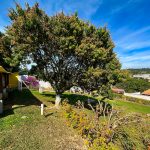 d197c7af-f5e0-4d17-8d52-cff690355d96