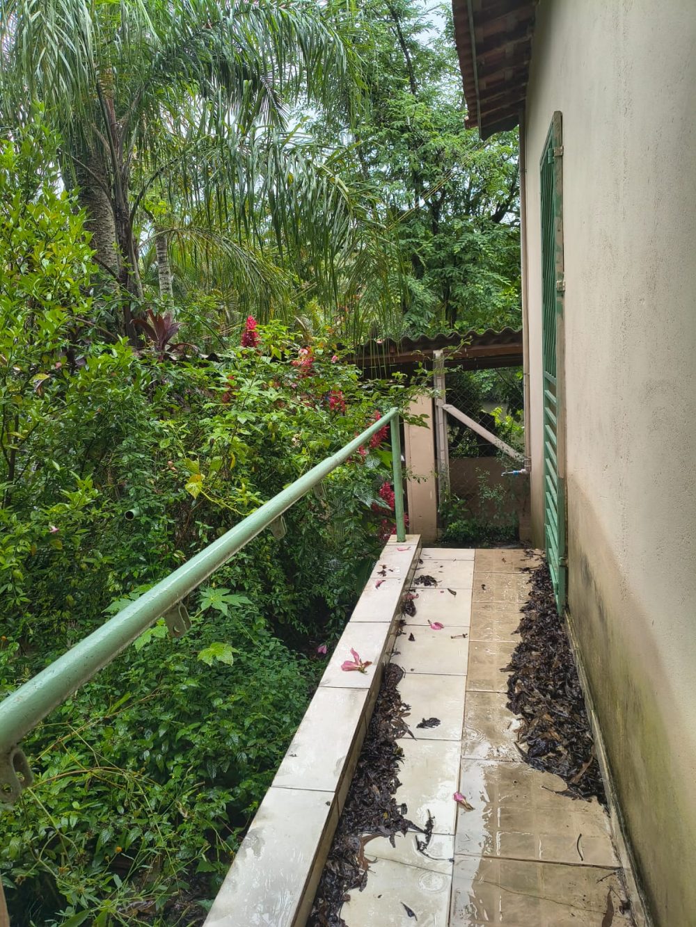 3eac12a2-5f9c-4c4e-b18c-4f164e4d5f5f