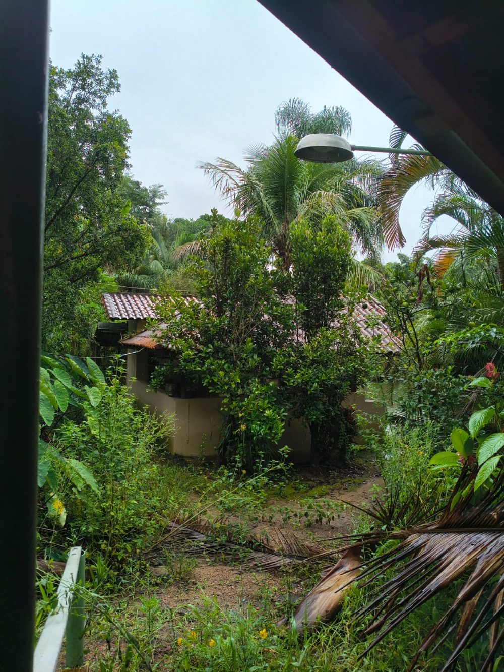 4a0fd424-f99c-471f-931a-53ed34db8f92