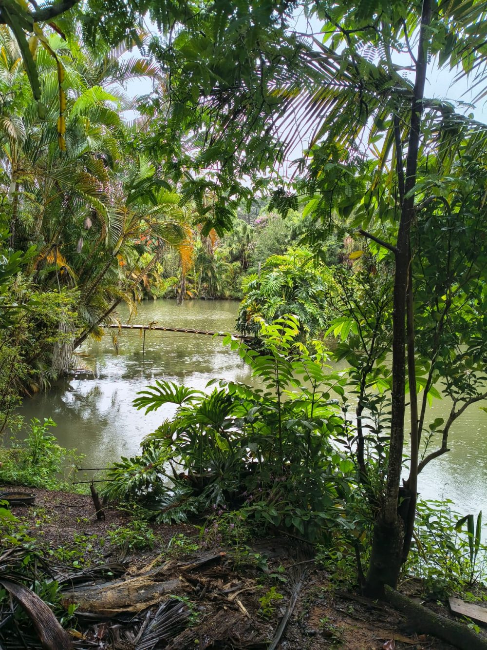 504cc49d-6d0d-45c5-a406-db1f08d0a765