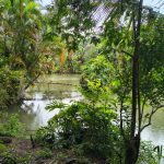 504cc49d-6d0d-45c5-a406-db1f08d0a765