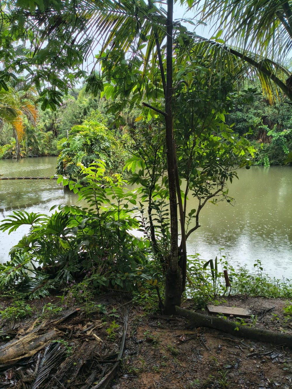 53873c77-147d-431c-b0e0-586d0e13077d