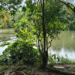 53873c77-147d-431c-b0e0-586d0e13077d