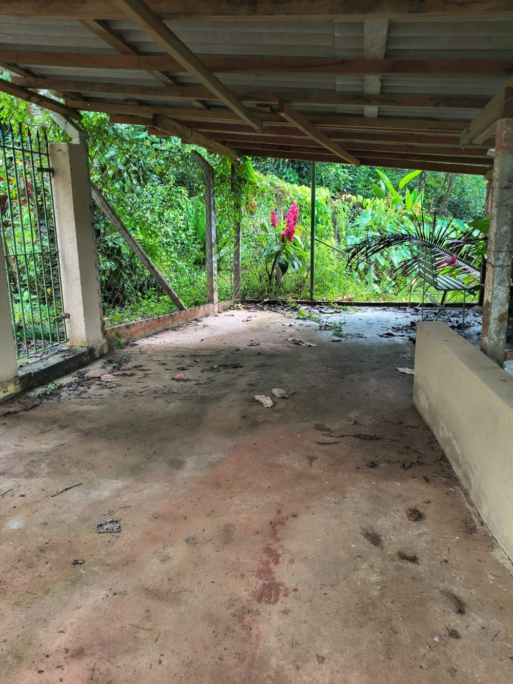 6d8cfda9-69b7-4cbb-9ae8-9327c8165ce8