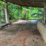 6d8cfda9-69b7-4cbb-9ae8-9327c8165ce8