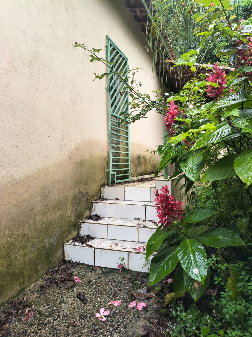 eae47d6e-032a-4a45-b577-33517baff823