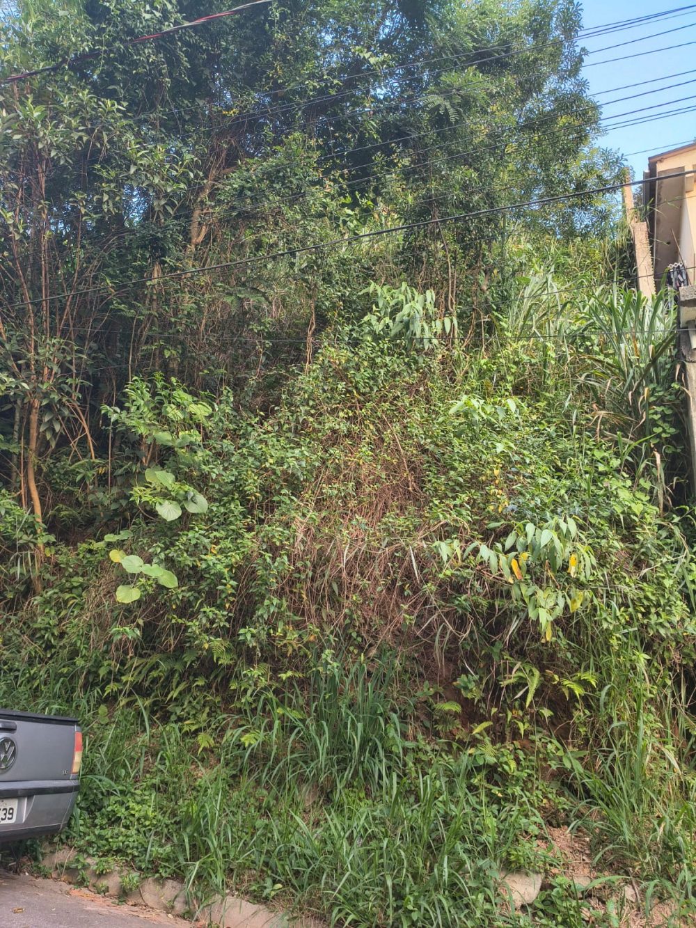 0364ad91-229a-4a9c-994e-557d7570c040