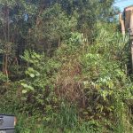 0364ad91-229a-4a9c-994e-557d7570c040