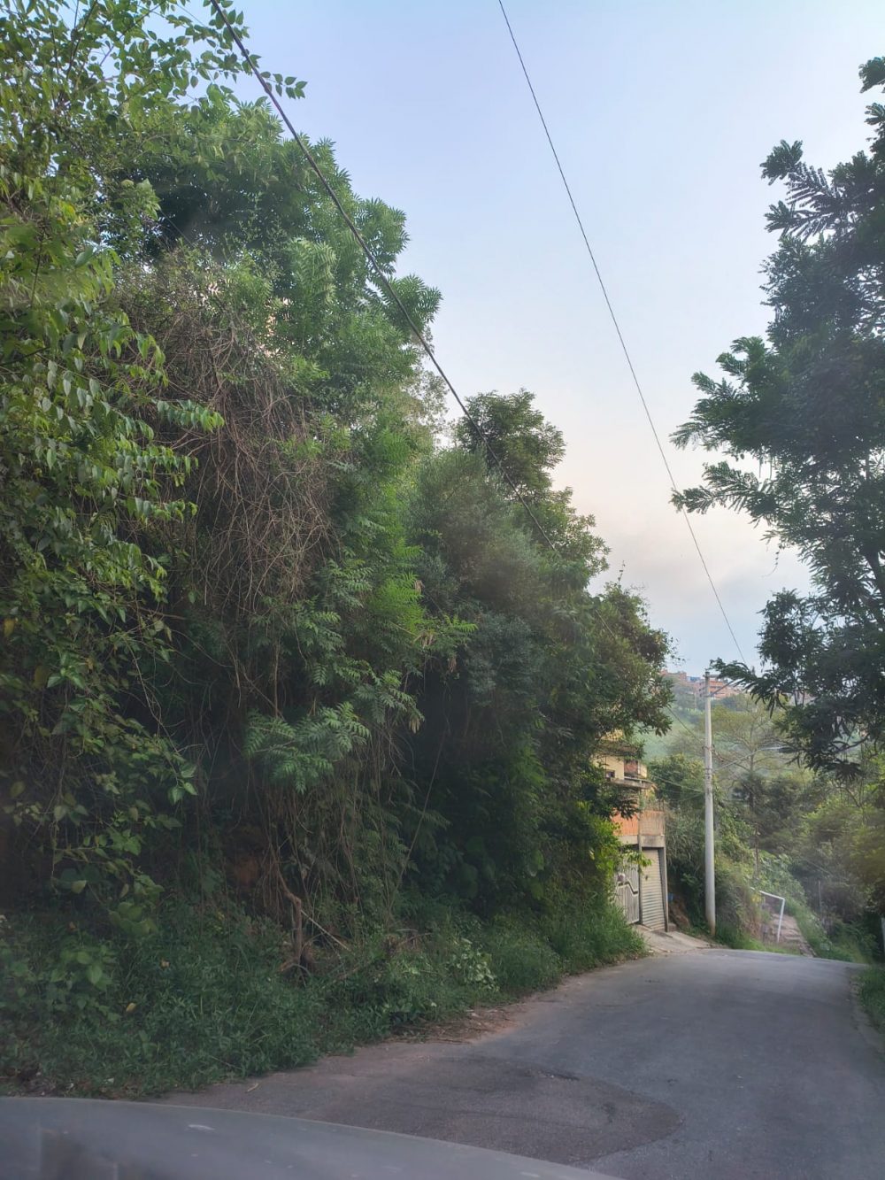 0b06df9d-e8f3-4ae0-bdc7-fad4b0486de1