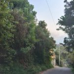 0b06df9d-e8f3-4ae0-bdc7-fad4b0486de1