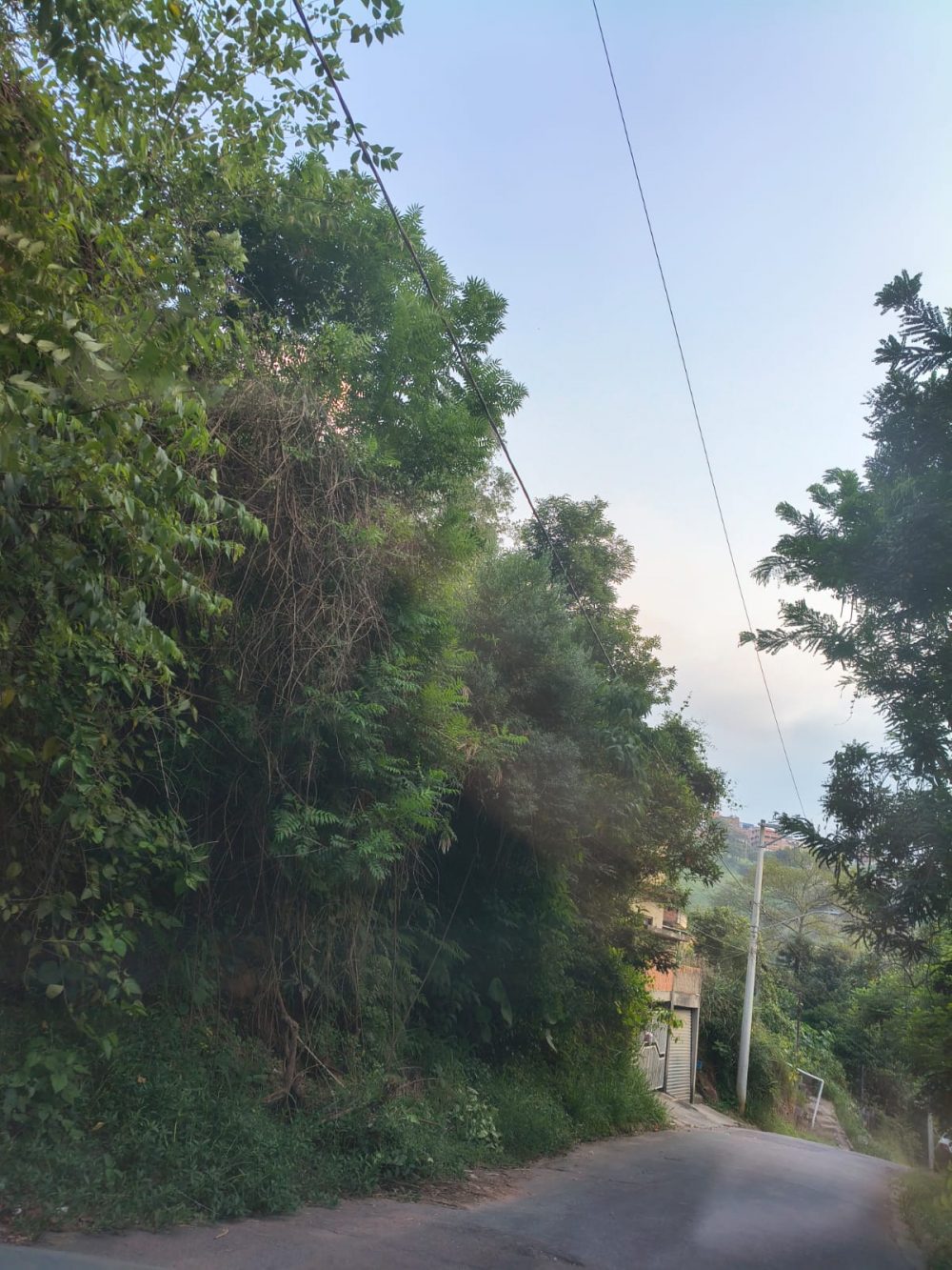 3488a7b4-8459-44d7-9535-ecc9bd2a121c