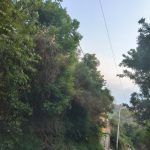 3488a7b4-8459-44d7-9535-ecc9bd2a121c